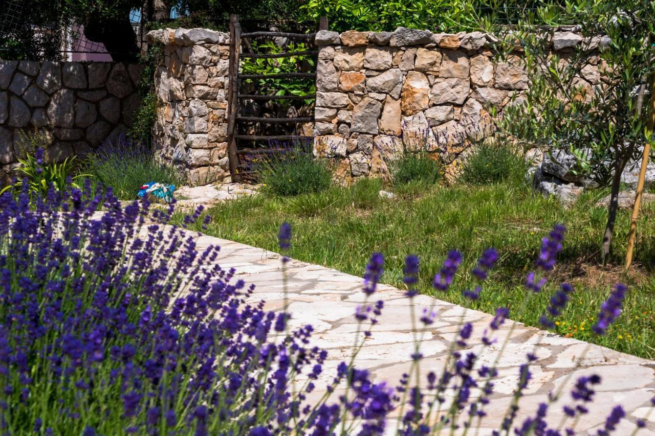 Apartmani Maslina Лун Экстерьер фото